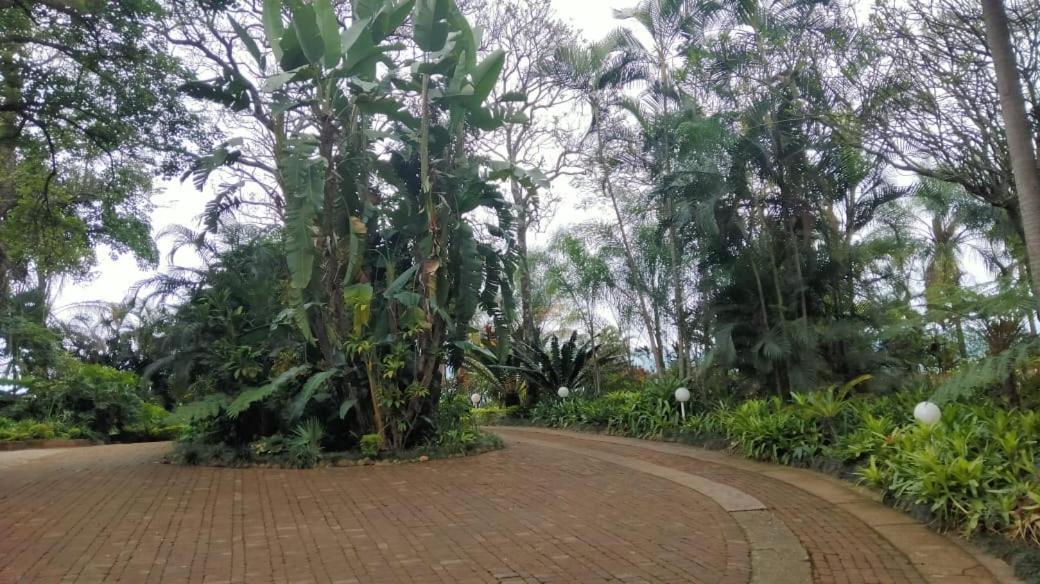تزانين St George'S Guest House الغرفة الصورة